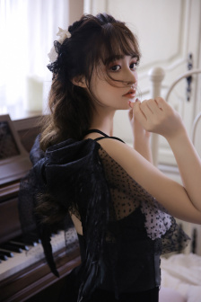 屋顶的大象